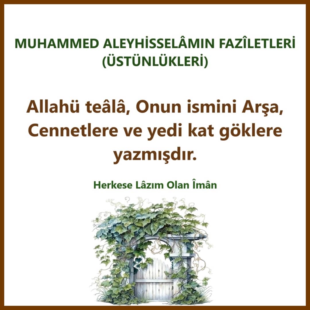 Üstünlükleri (1)